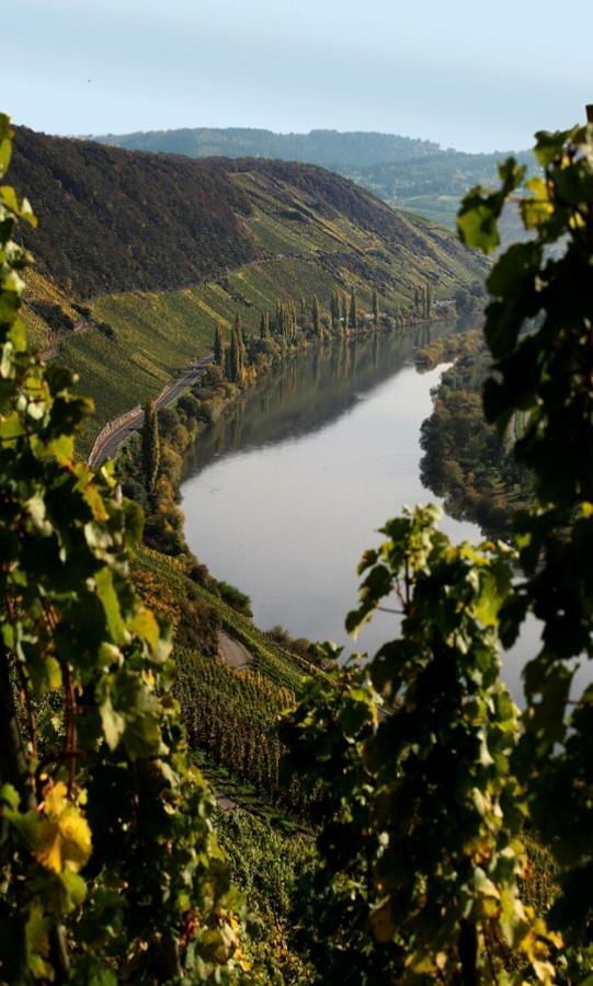 Gasthof Weingut Berweiler *